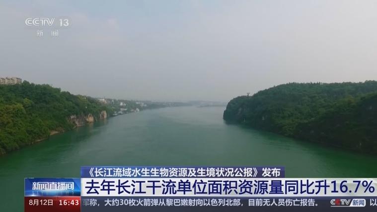 四部门联合发布公报 长江流域水生生物资源总体恢复向好