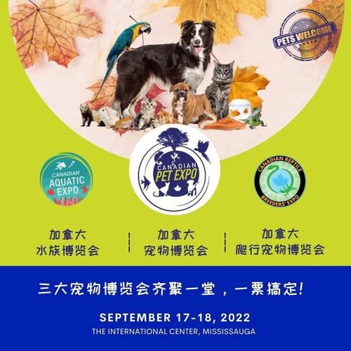 好看好玩!首届长沙宠博会将于12月1日开幕