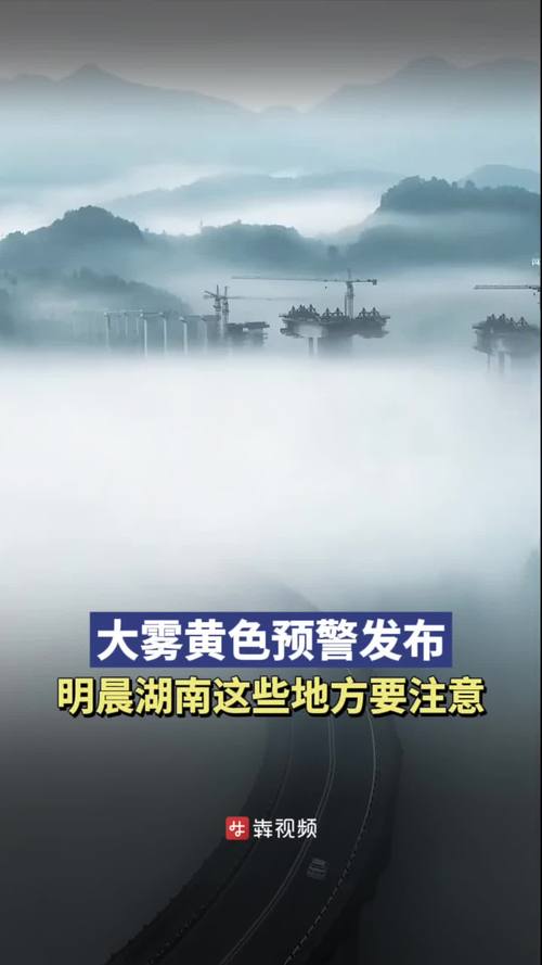 湖南省芦淞区发布大雾黄色预警_1