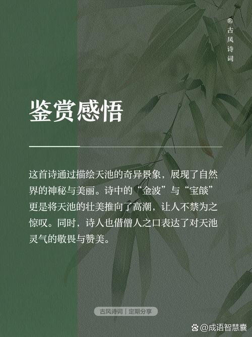 “书香使者”到天池