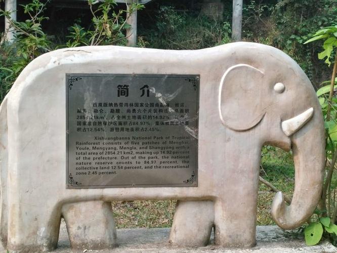 海南热带雨林国家公园自然博物馆项目建议书获批
