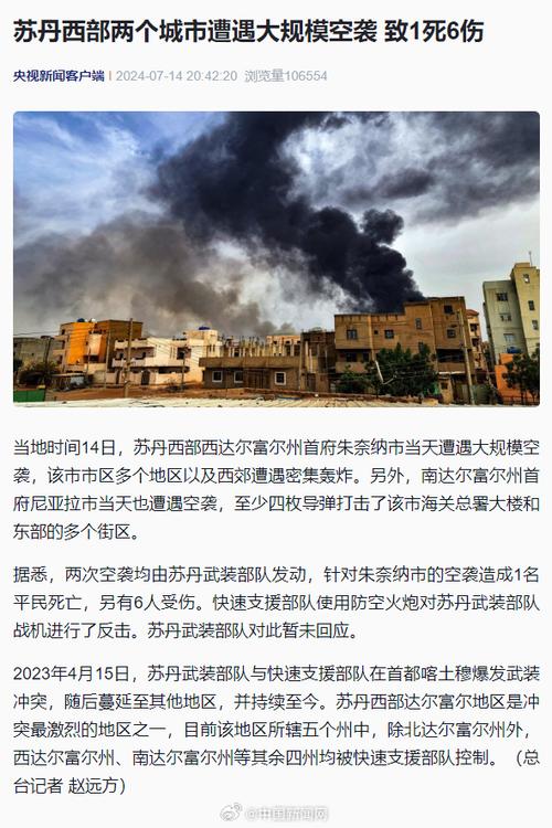 苏丹西部一市场遭空袭 致数百人伤亡