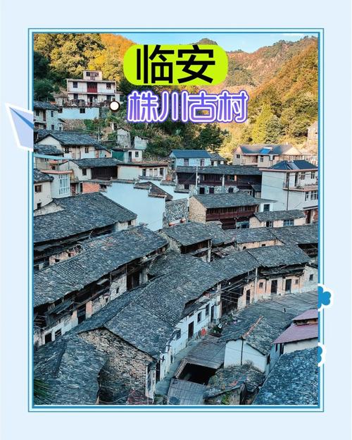 (身边的变化)浙西“一只果”:从山间向东盟