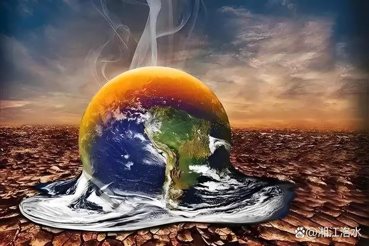 世界最大湿地火灾数量激增 预计将遭遇极端干旱
