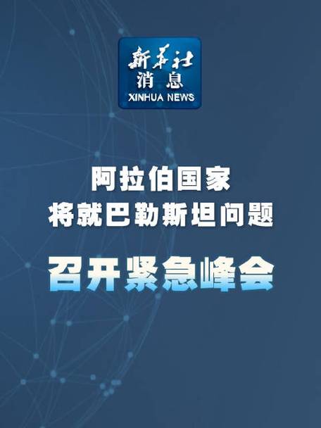 埃及呼吁国际社会共同努力解决巴勒斯坦问题