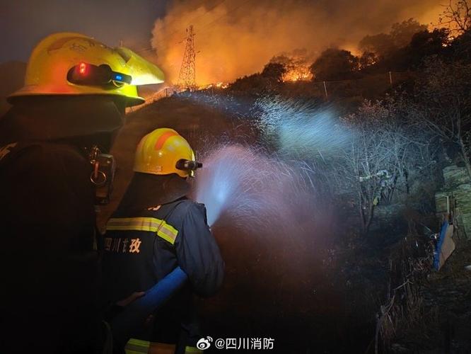 救援力量三路并进 阻击甘孜雅江森林大火