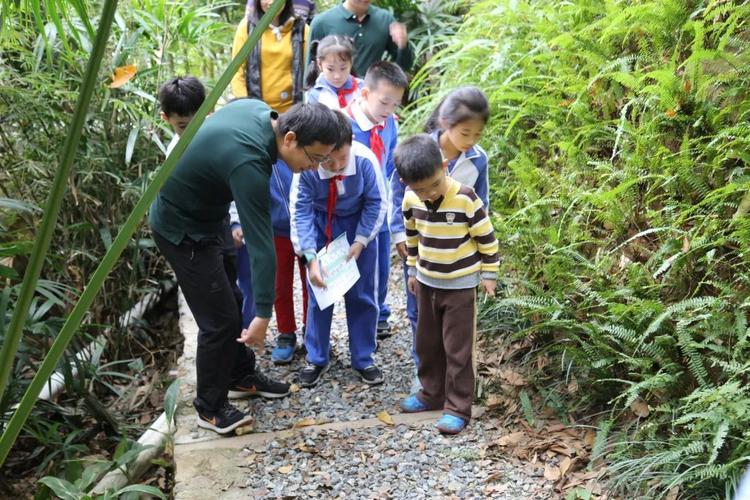 广东发布全国首个自然教育基地户外活动安全管理标准