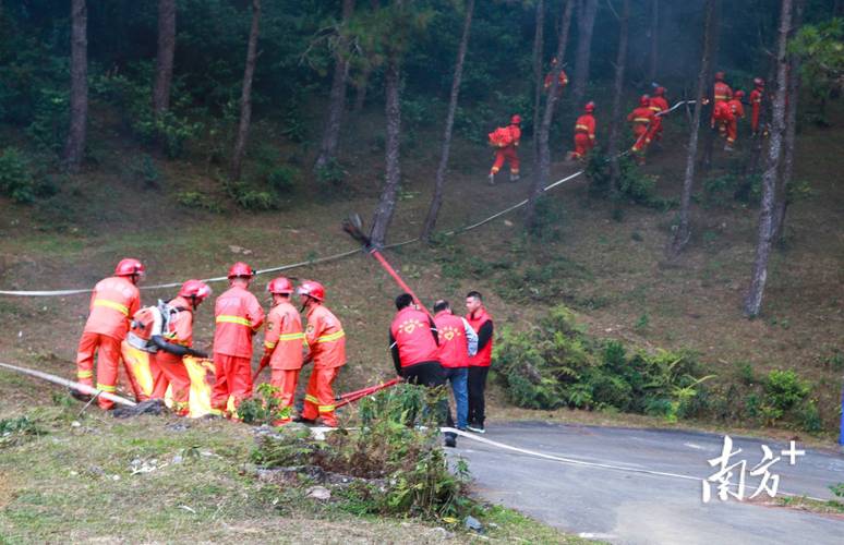 广东省信宜市发布森林火险黄色预警_4