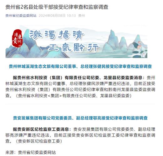 贵安发展集团有限公司党委委员、副总经理鄂亮被查