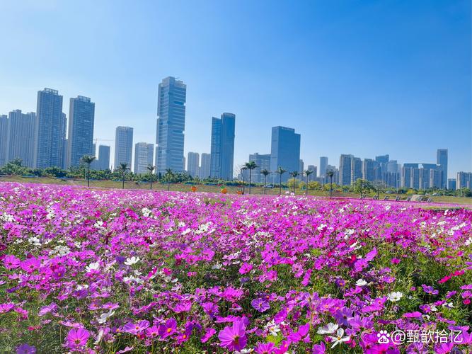 锦绣云岭|一支鲜花涌春潮