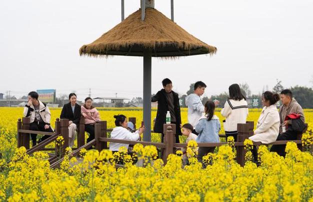 乡村游“热”力十足 “田园美景+花式游玩”成为消费新潮流