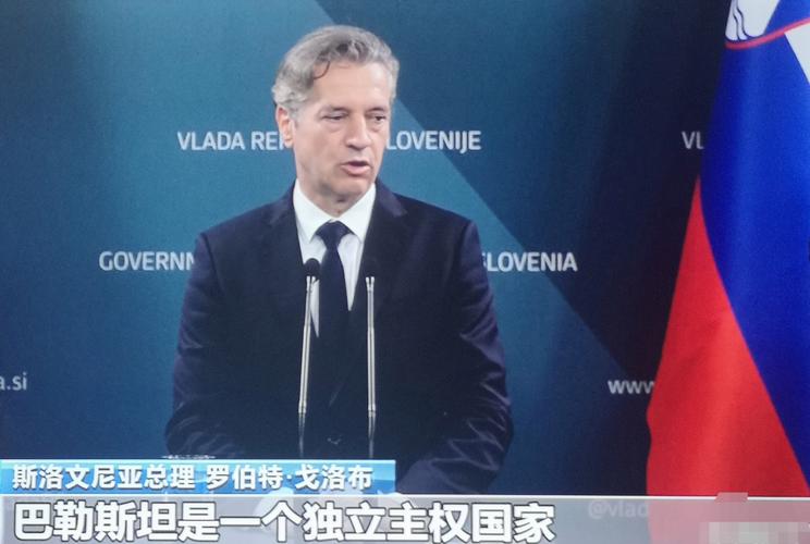 外媒:斯洛文尼亚将就是否承认巴勒斯坦国作出决定