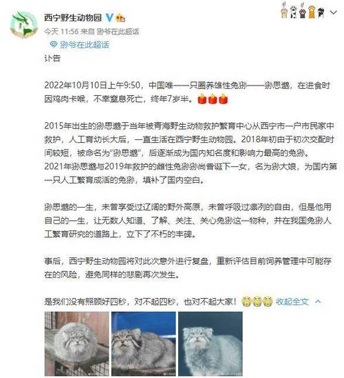 突发讣告!“狲大娘”因病死亡,其父母系“狲思邈”“狲尚香”