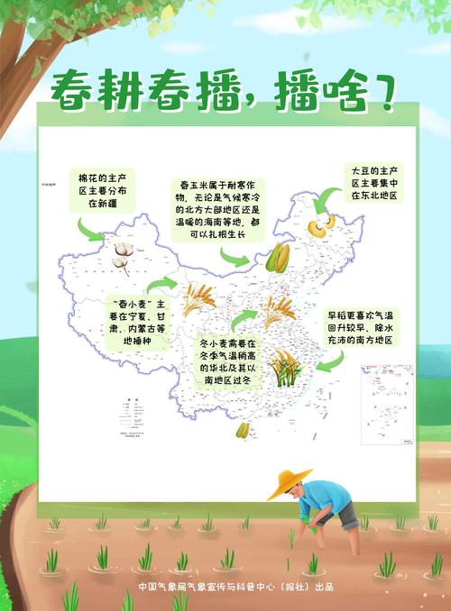 新华视点|政策到田间 春耕正当时
