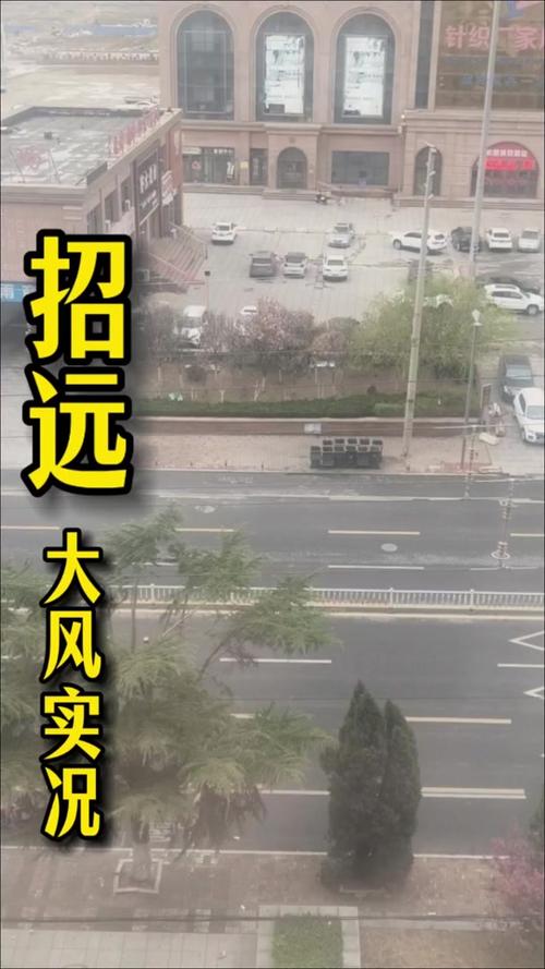 山东省招远市发布大风黄色预警_3