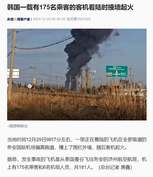 痛心!韩国客机着火179人遇难,2名获救者为乘务员!坠落前乘客聊天记录曝光:我们无法降落,一只鸟卡在机翼里
