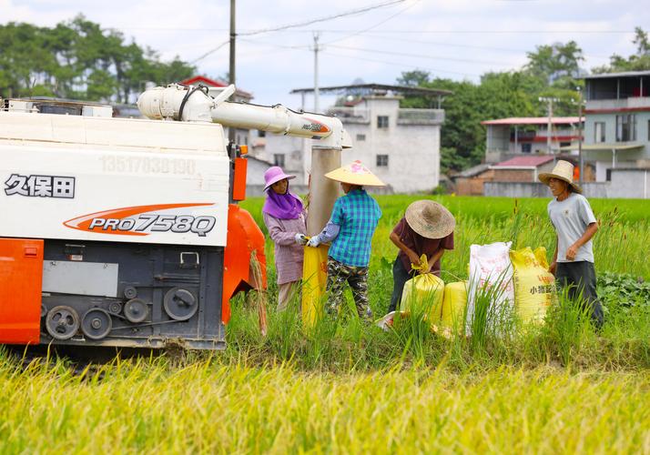 在希望的田野上丨夏收夏种进行时 农机助力忙丰收