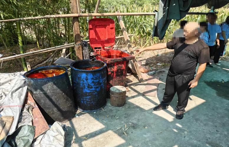 一群人躲在玉米地里干这事儿!警方成功捣毁