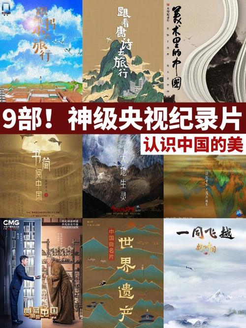 专家研讨纪录片《中国》:展现中华文化之美