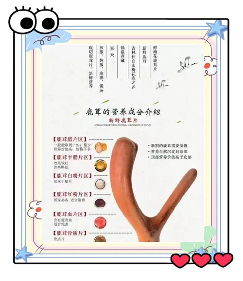 生产不符合规定的中药饮片鹿茸,广东一药业公司被警告和没收违法所得