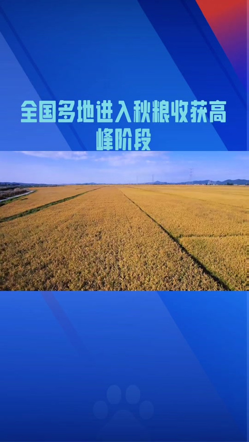 “三伏热浪走 初秋气象新”,我国最早秋粮开始收获