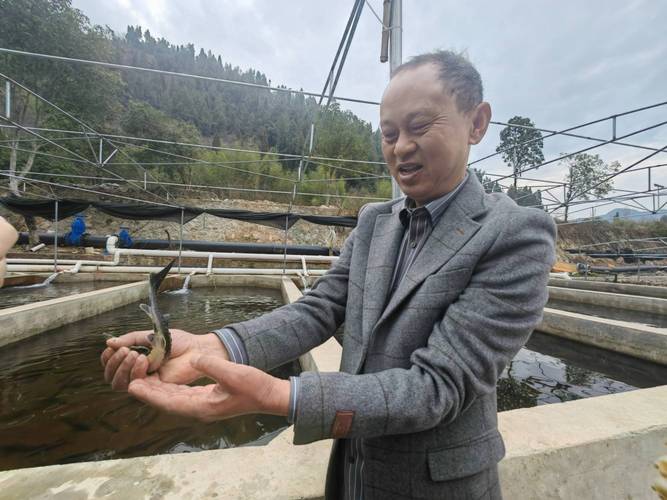 高质量发展调研行|曾被宣布野外灭绝的长江鲟现身长江云南水富段