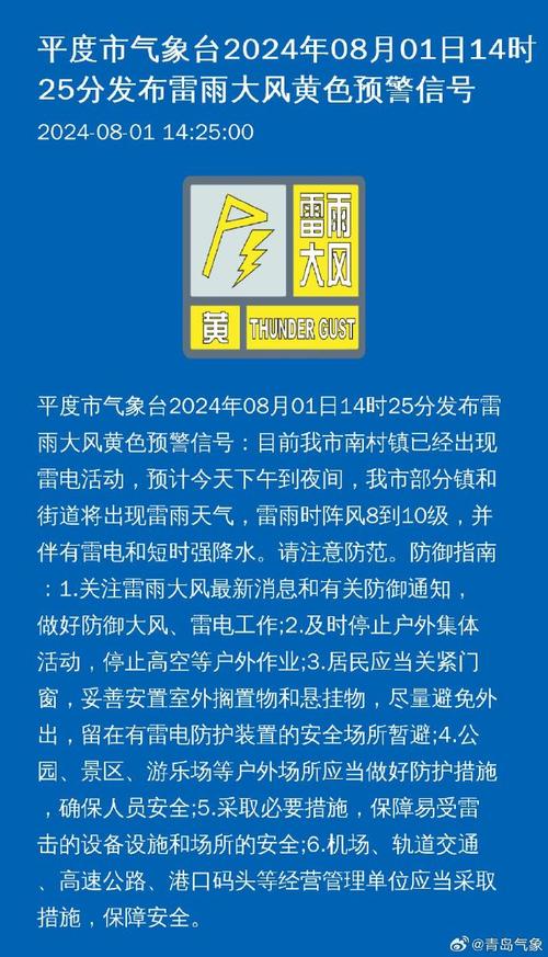 山东省平度市发布雷电黄色预警_2