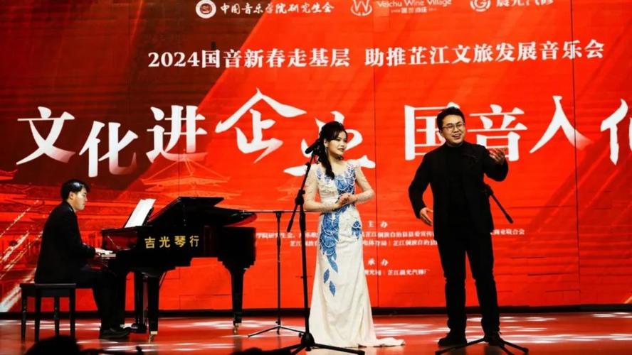 (新春走基层)“演唱会+”刷新城市流量 安全何以保障?
