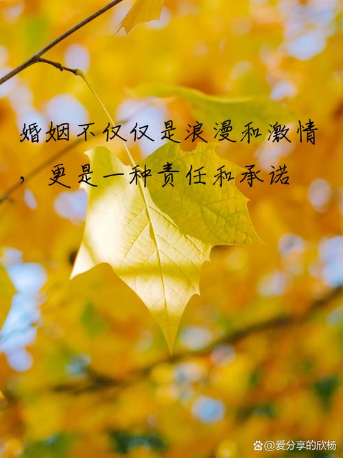 定格动画丨爱,是无论远近,也要让他们“看得清”