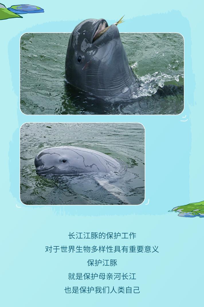 与自然“童”行,安踏集团、安踏儿童联合世界自然基金会守护长江江豚生态环境