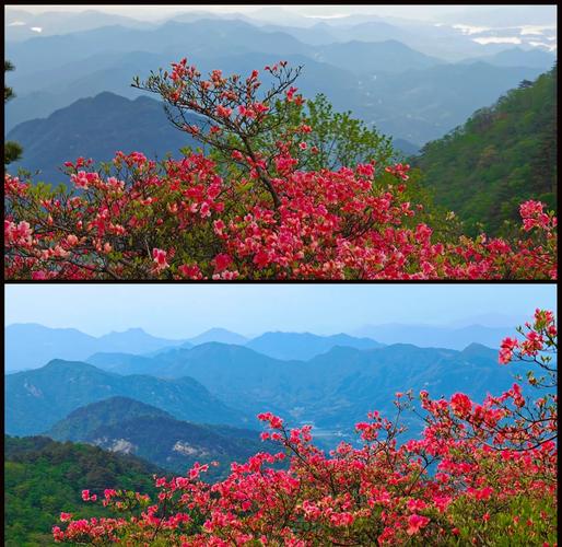 湖北麻城龟峰山景区:“因领导要来景点被暂时关闭”一事不属实