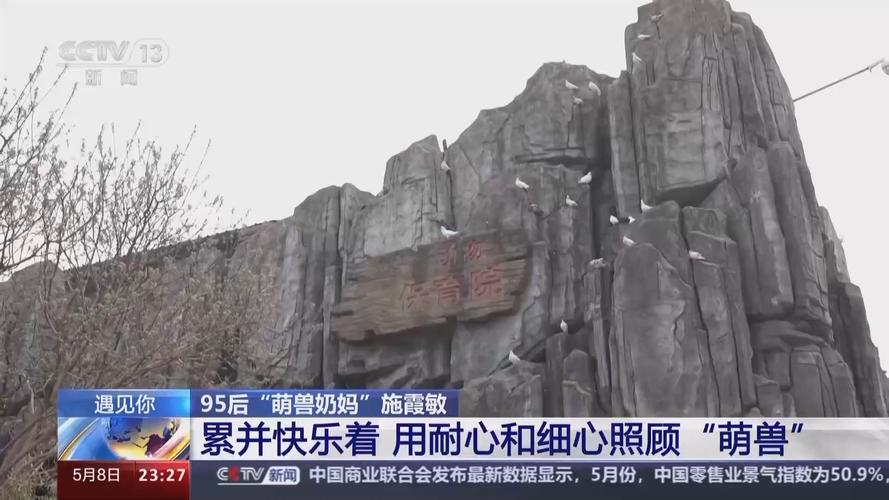 带薪“撸虎玩熊”?她4年里拉扯大200多只猛兽崽崽