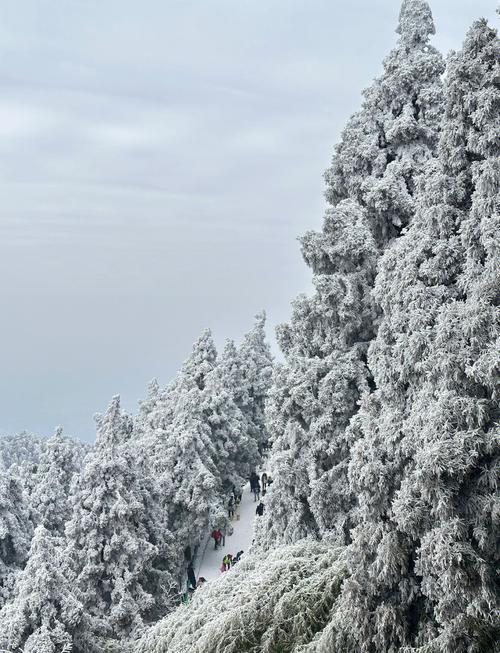 衡山小哥哥的新年愿望:多拍南岳美景,老婆少生气