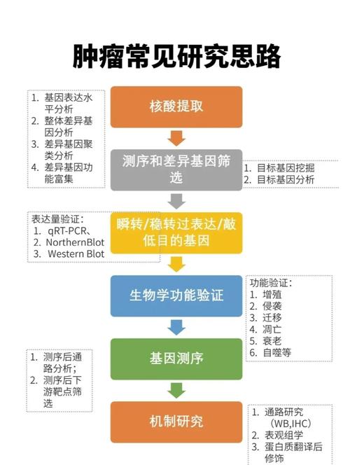 新研究揭示癌症研究模型可能存在“隐患”