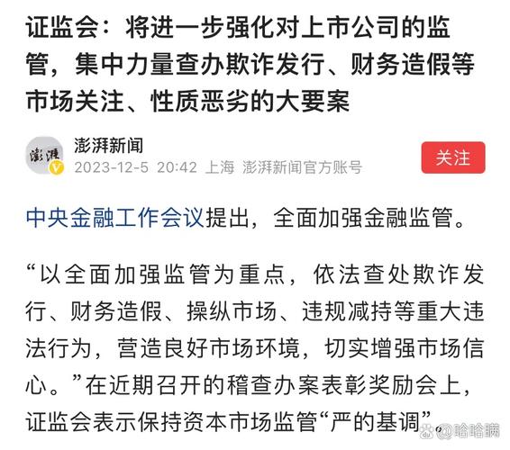 证监会依法从严打击欺诈发行、财务造假等信息披露违法行为