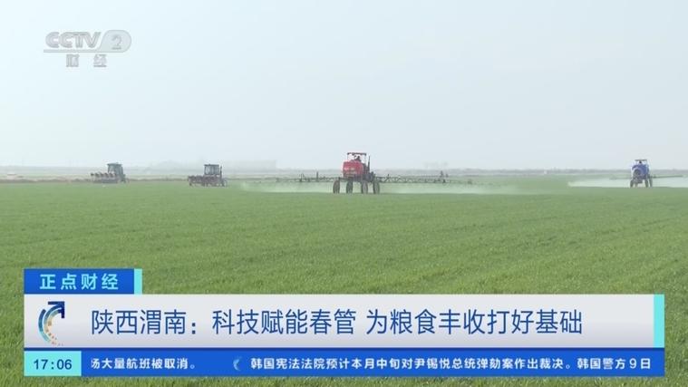 科技赋能农业生产 “良种+托管”夯实粮食丰收基础