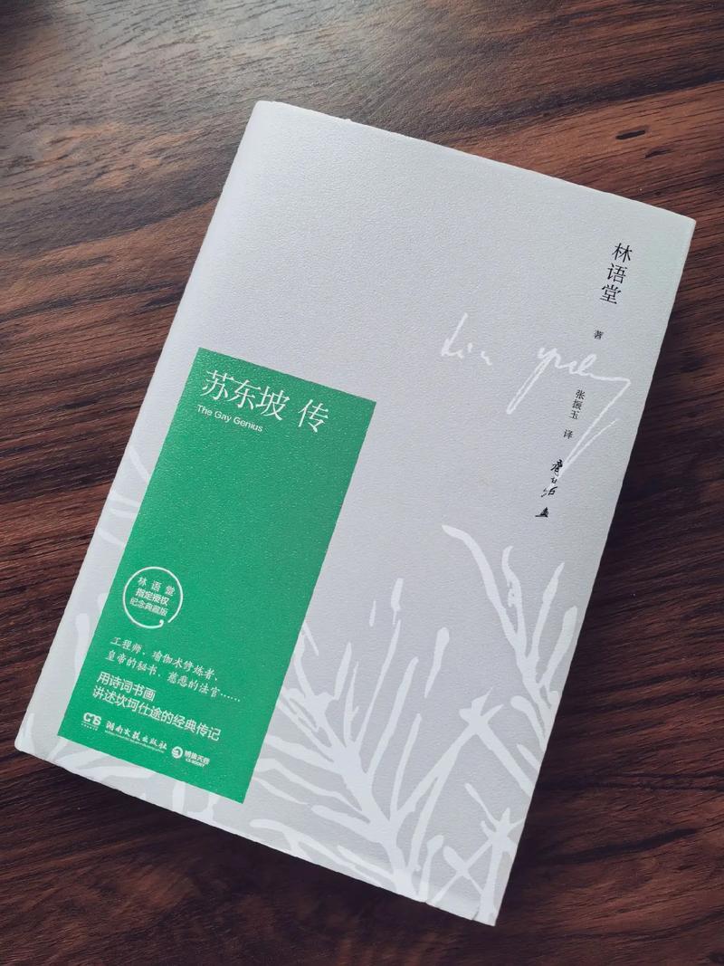 《男神东坡》苏东坡扮演者周亮辰:非专业的演员“破天荒”的东坡