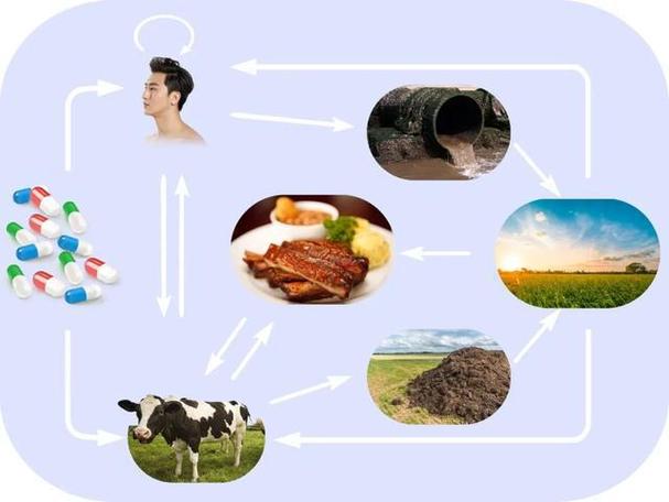 微生物耐药性已成世界公共卫生问题,怎么解决?中国科学家找到了源头
