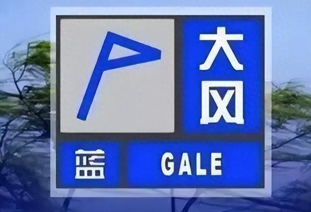 大风蓝色预警:内蒙古吉林等9省区市部分地区阵风8至10级