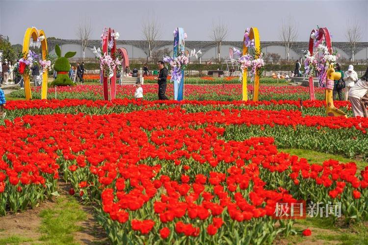 大年初三市属公园迎客超54万人次 市属公园红色游受热捧