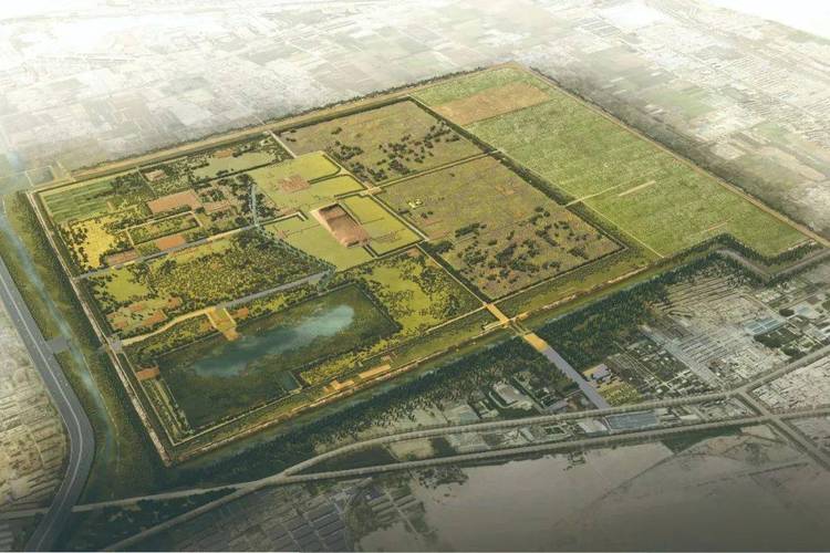 国家考古遗址公园+19 我国大遗址保护利用还有这些新进展