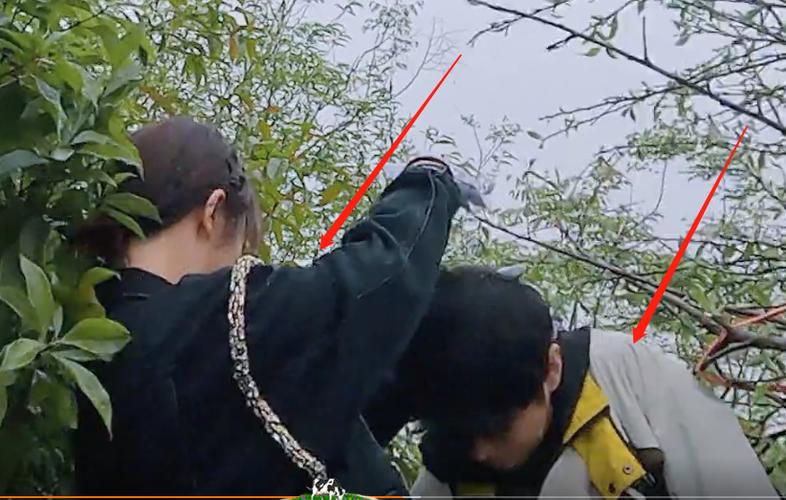 30元 公斤！不少杭州人爱吃！但要注意，同一天2人被撂倒！