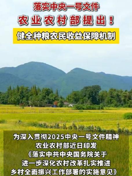 强农惠农富农 健全种粮农民收益保障机制
