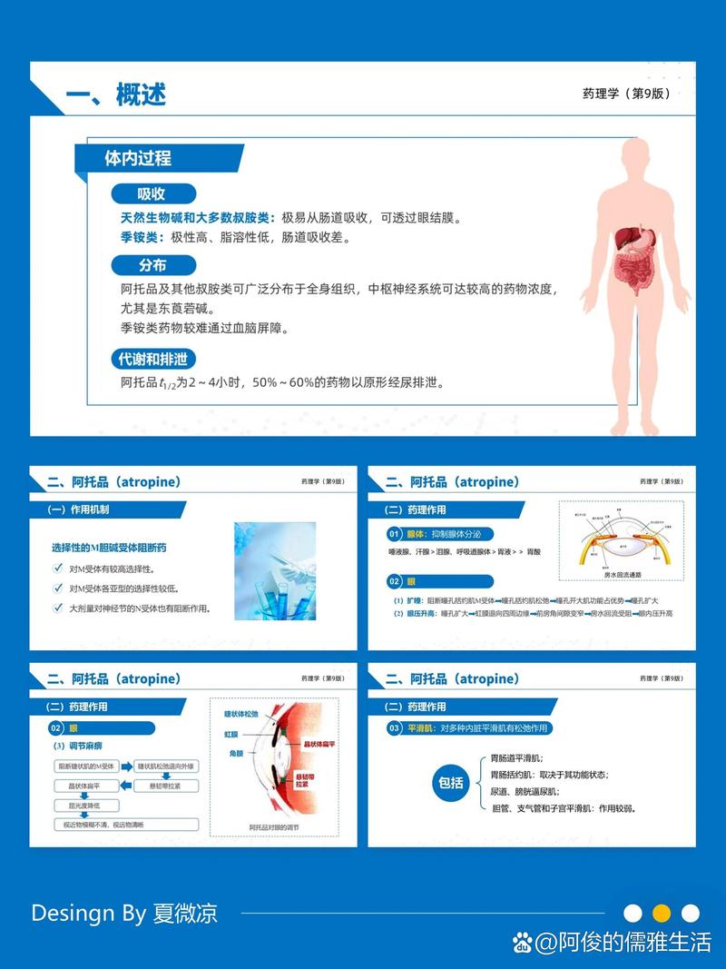 日研究发现光线调节海胆肠道开关的机制