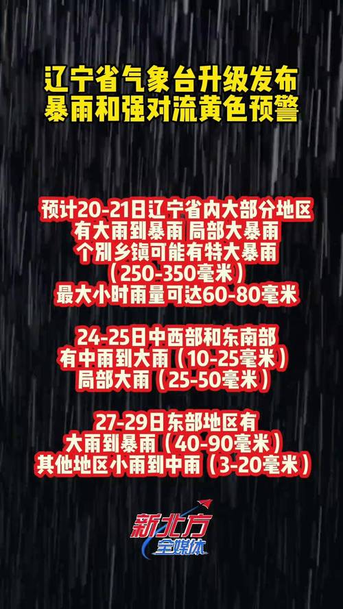 吉林省和龙市发布暴雨黄色预警