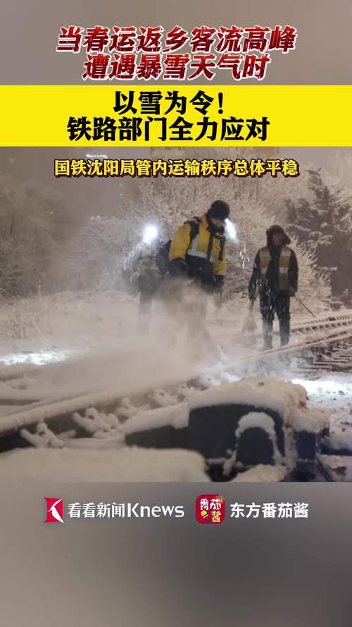 暴雪天气遇到列车折返或停运该怎么办？官方详解来了
