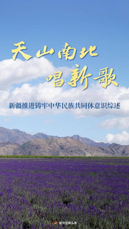 铸牢共同体 中华一家亲丨雪域高原焕新貌:沙地复绿 巩固黄河上游水源涵养能力