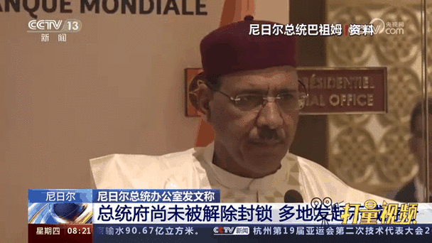 尼日尔国家法院取消巴祖姆的总统豁免权