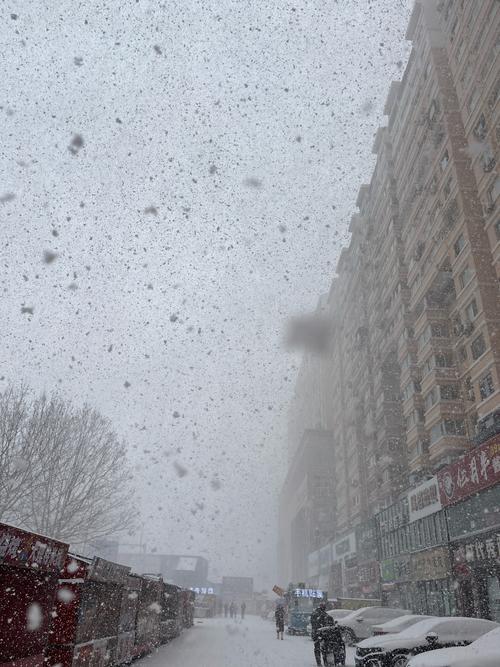 山东今日继续处于“冰冻模式” 烟台威海局地仍有暴雪