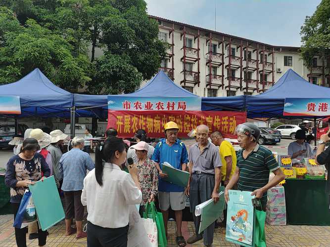 广西贵港:多措并举促就业创业